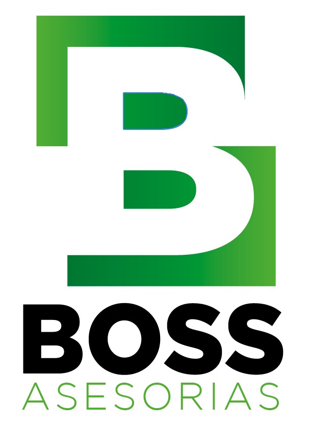 BOSS Asesorías